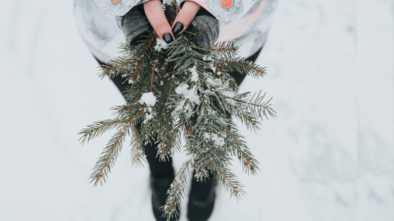fot.: Alisa Anton, unsplash.com