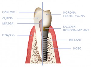 materiały prasowe