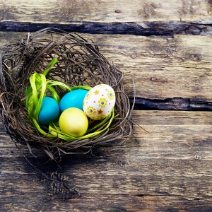 Colorful easter eggs in a nest on wooden background