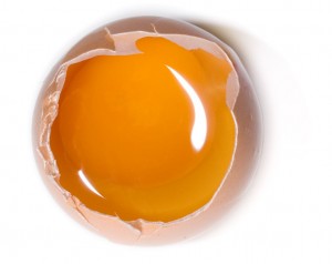 sxc.hu egg topfer