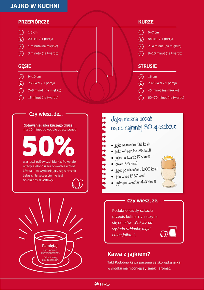 HRS_INFOGRAFIKA_CZESC_2 (Copy)