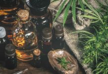 Zestaw dla amatora suszu CBD. Co powinno się w nim znaleźć? Zestaw dla amatora suszu CBD