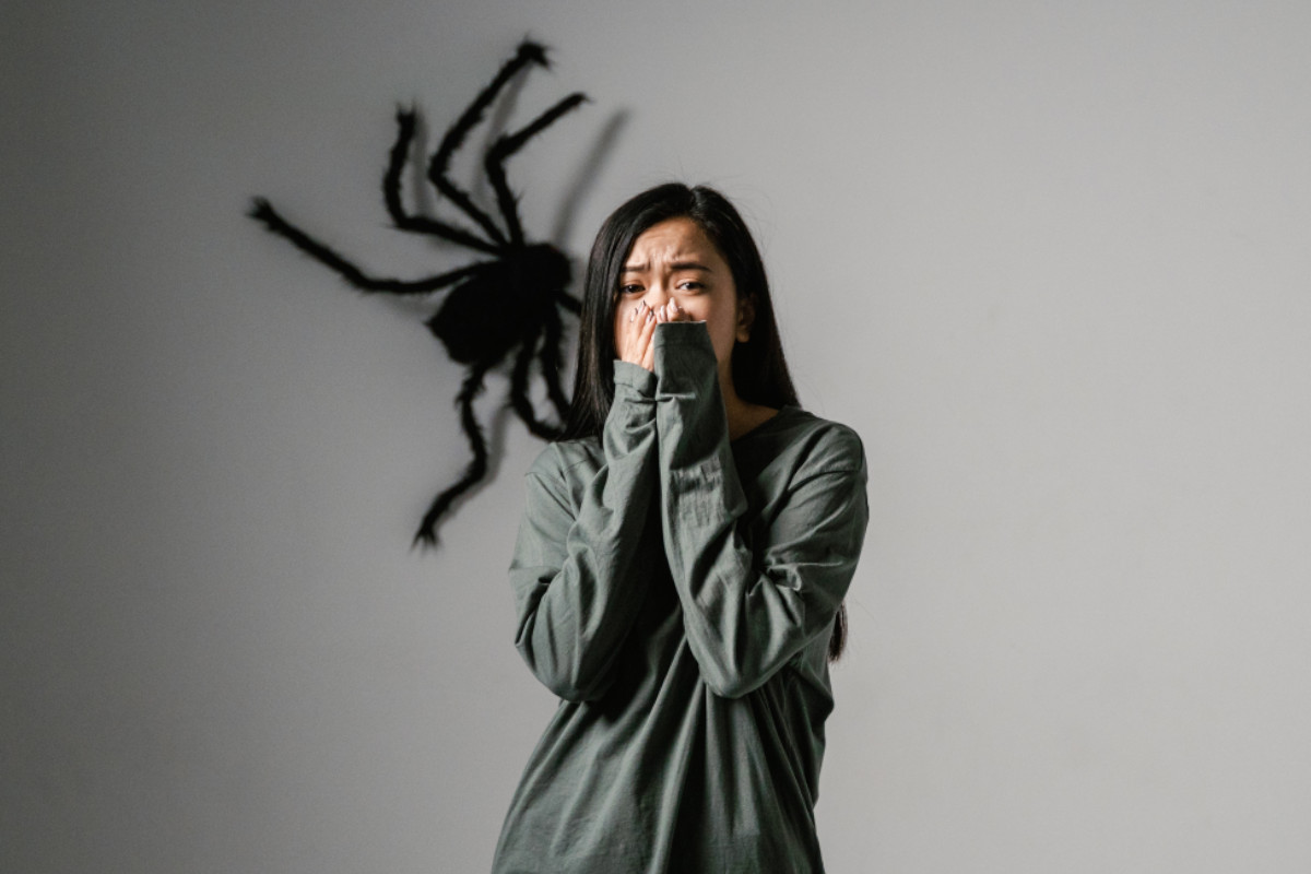 arachnofobia
